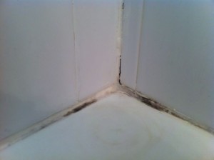 The Corner of Shame: Bathroom Mold